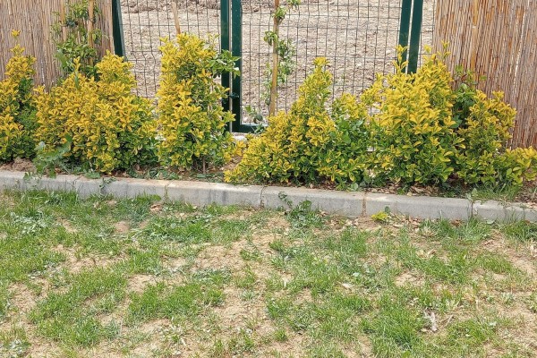 Eskice Panel Çit Uygulaması 11